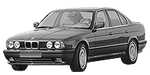 BMW E34 P008B Fault Code